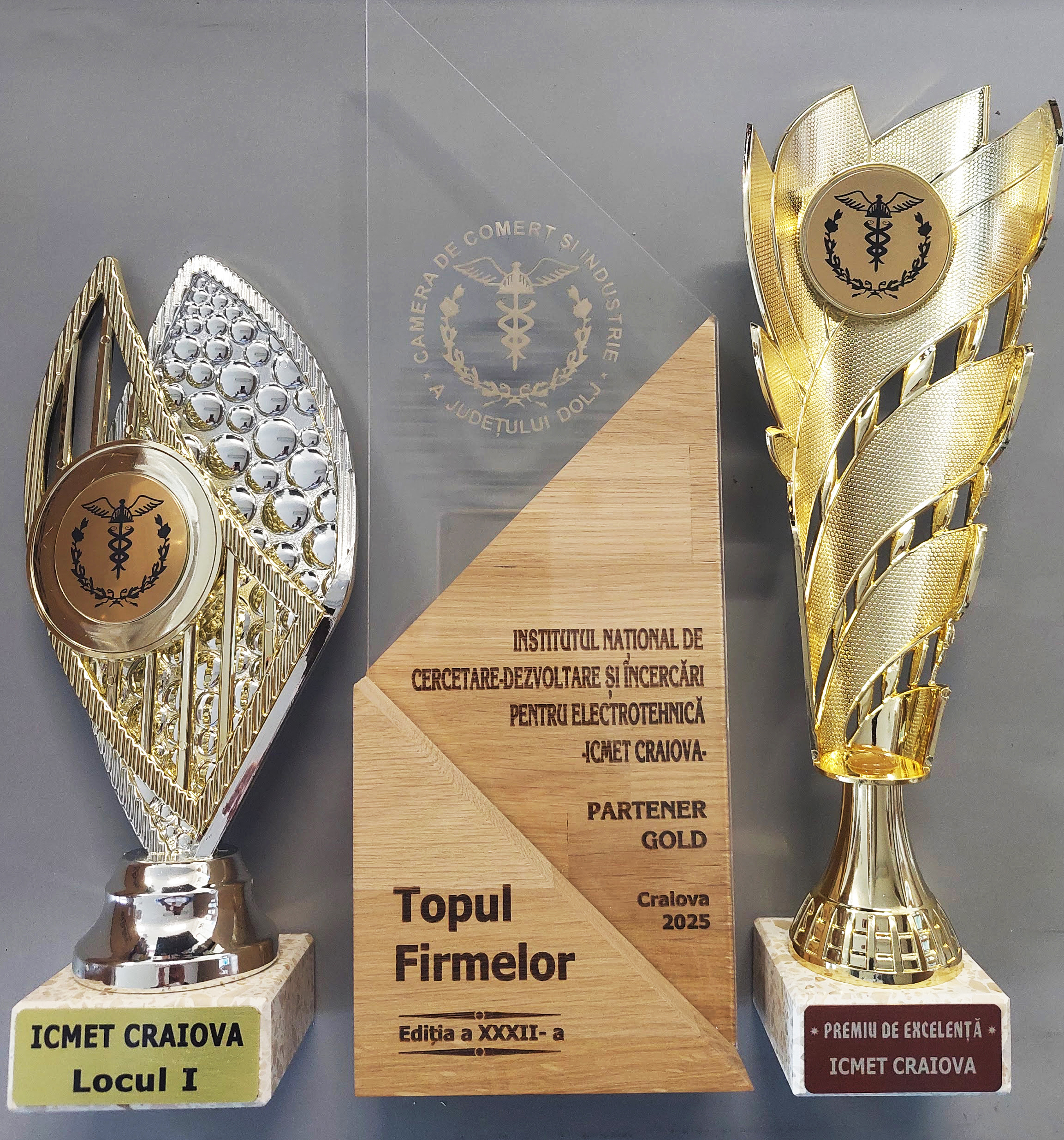 Trofeu Topul Firmelor 2025